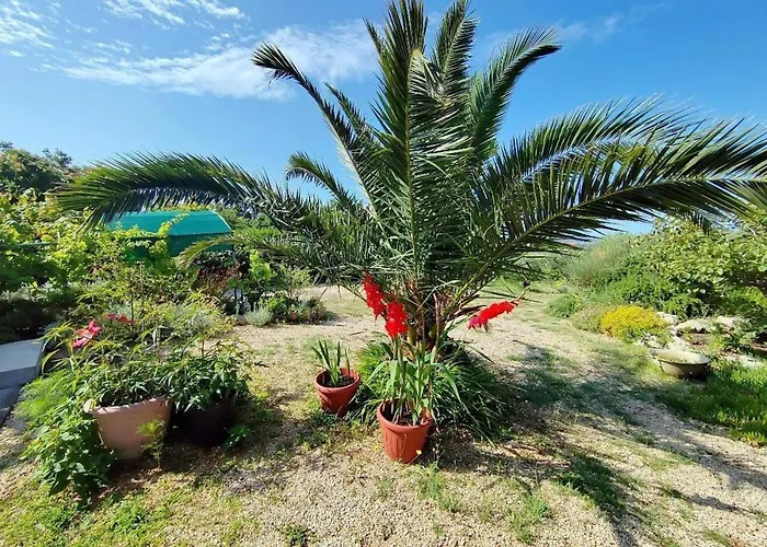 With Parking Space Barbat, Rab - 25028 Apartment Rab Town